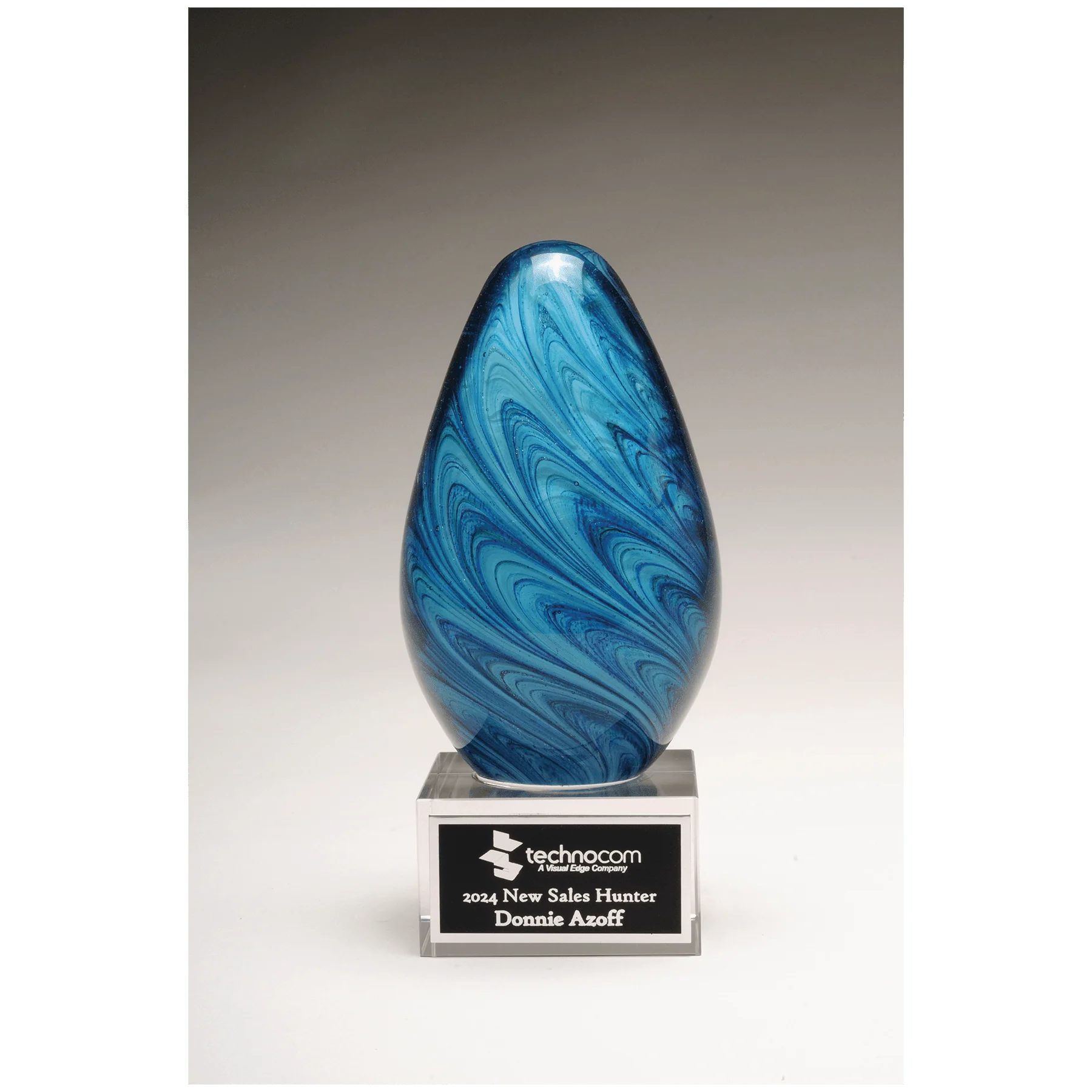 NEW Harbor Wave Art Glass Egg